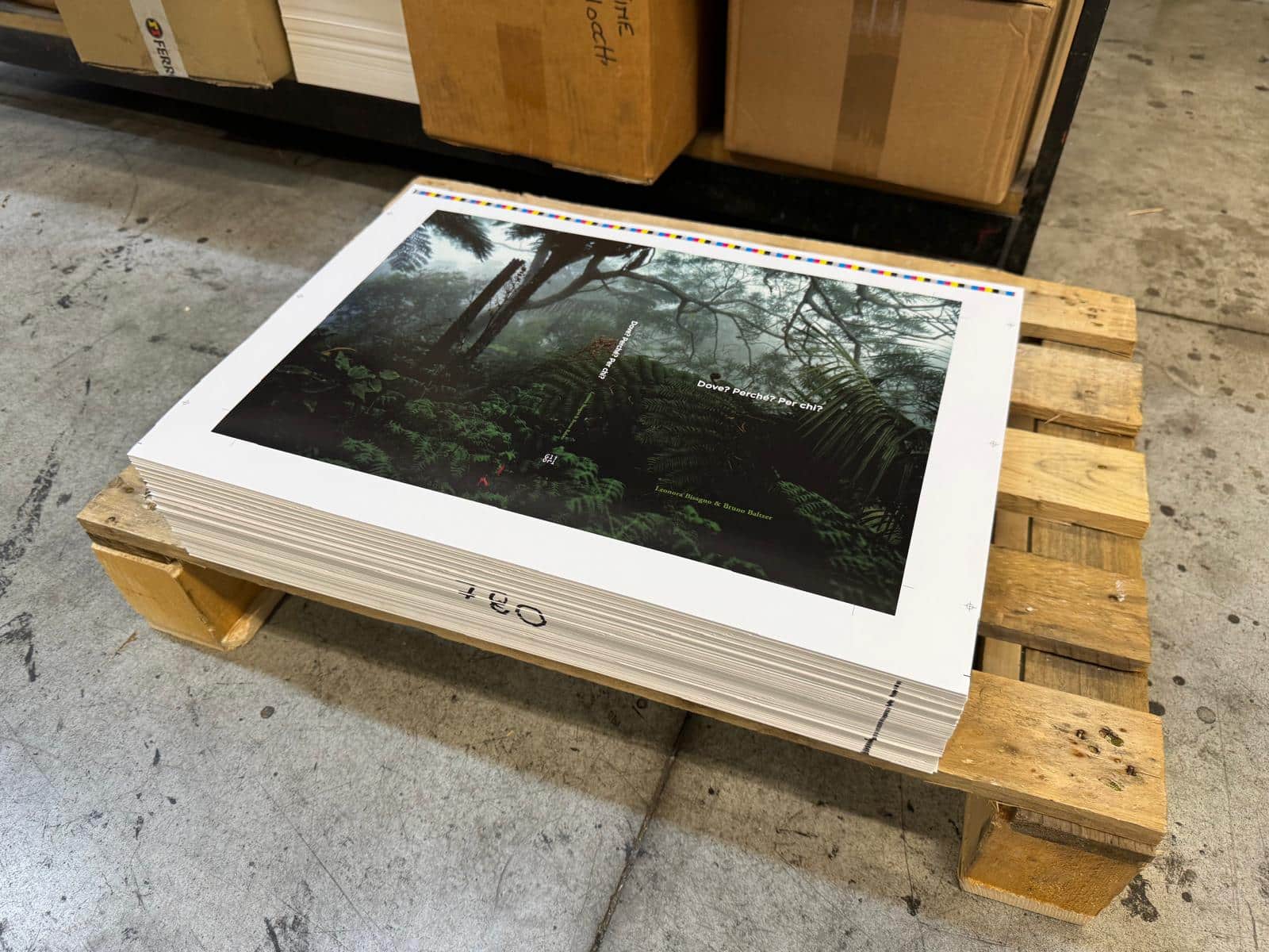 Aide à l’édition d’une monographie Balzer/Bisagno