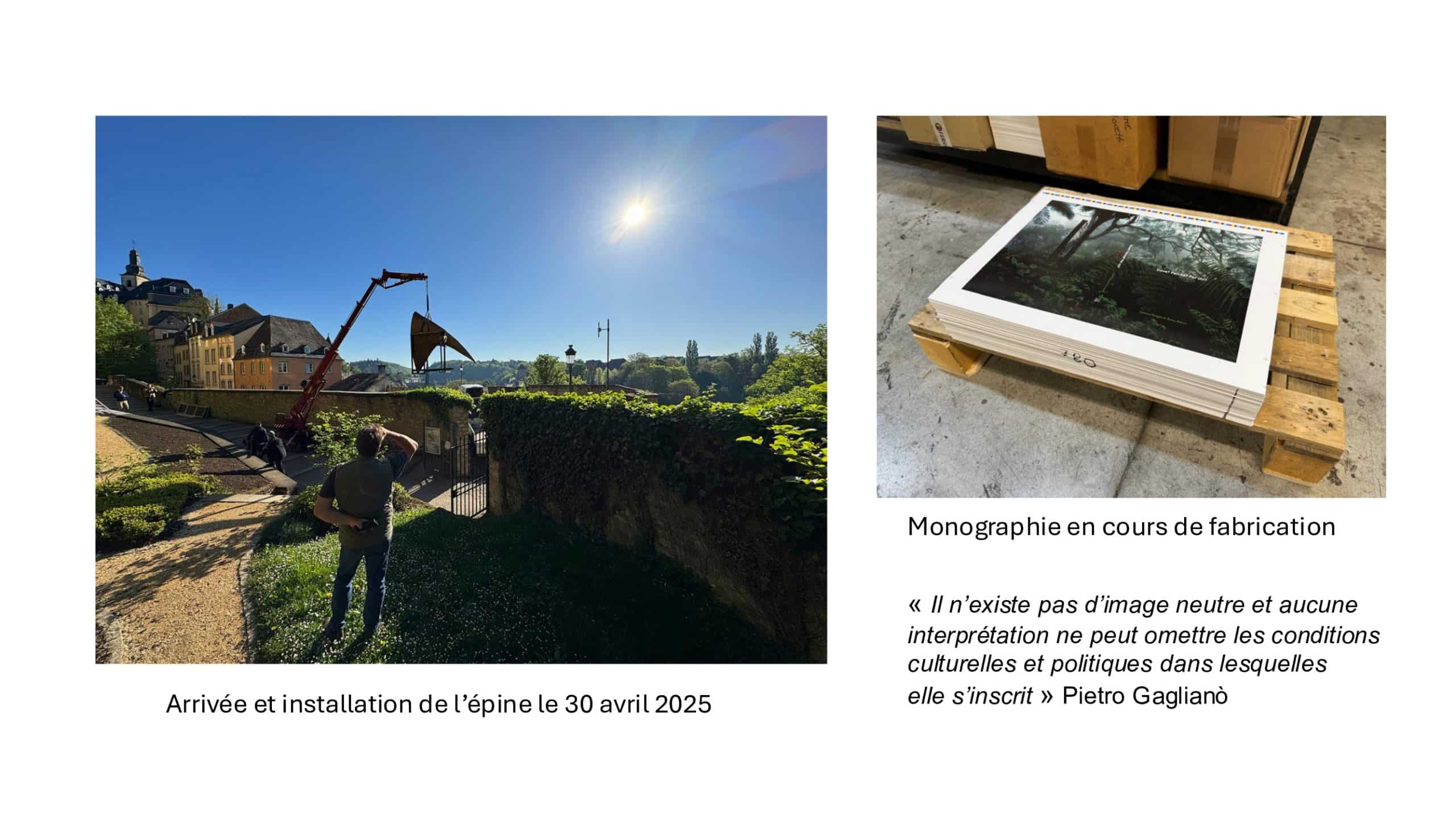 Monographie